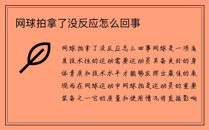 网球拍拿了没反应怎么回事