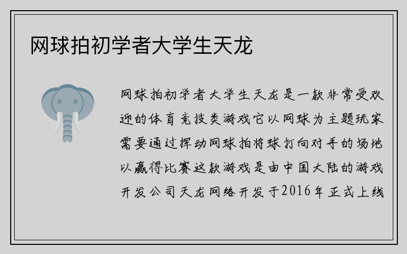 网球拍初学者大学生天龙