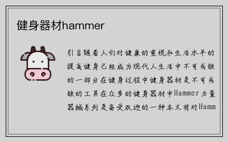 健身器材hammer